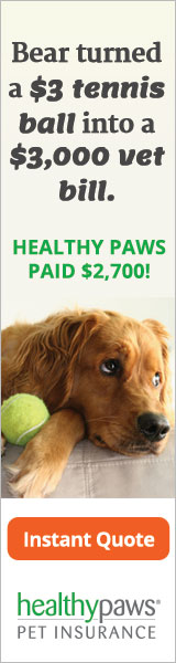 Healthy Paws Pet Insurance and Foundation.